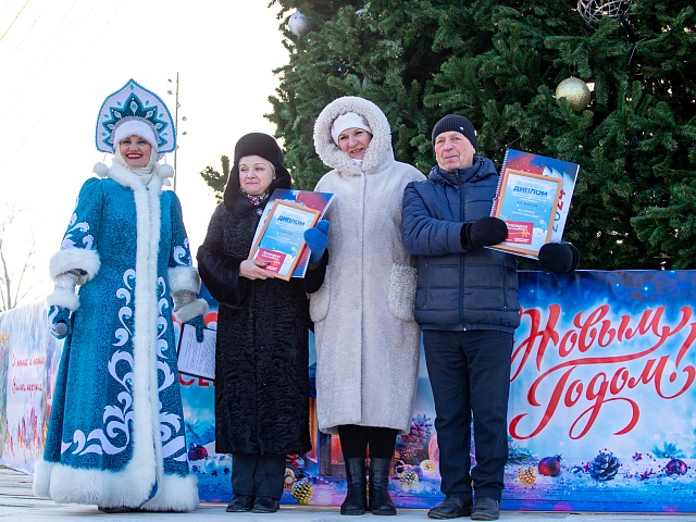 В Благовещенске подвели итоги конкурса снегозавров